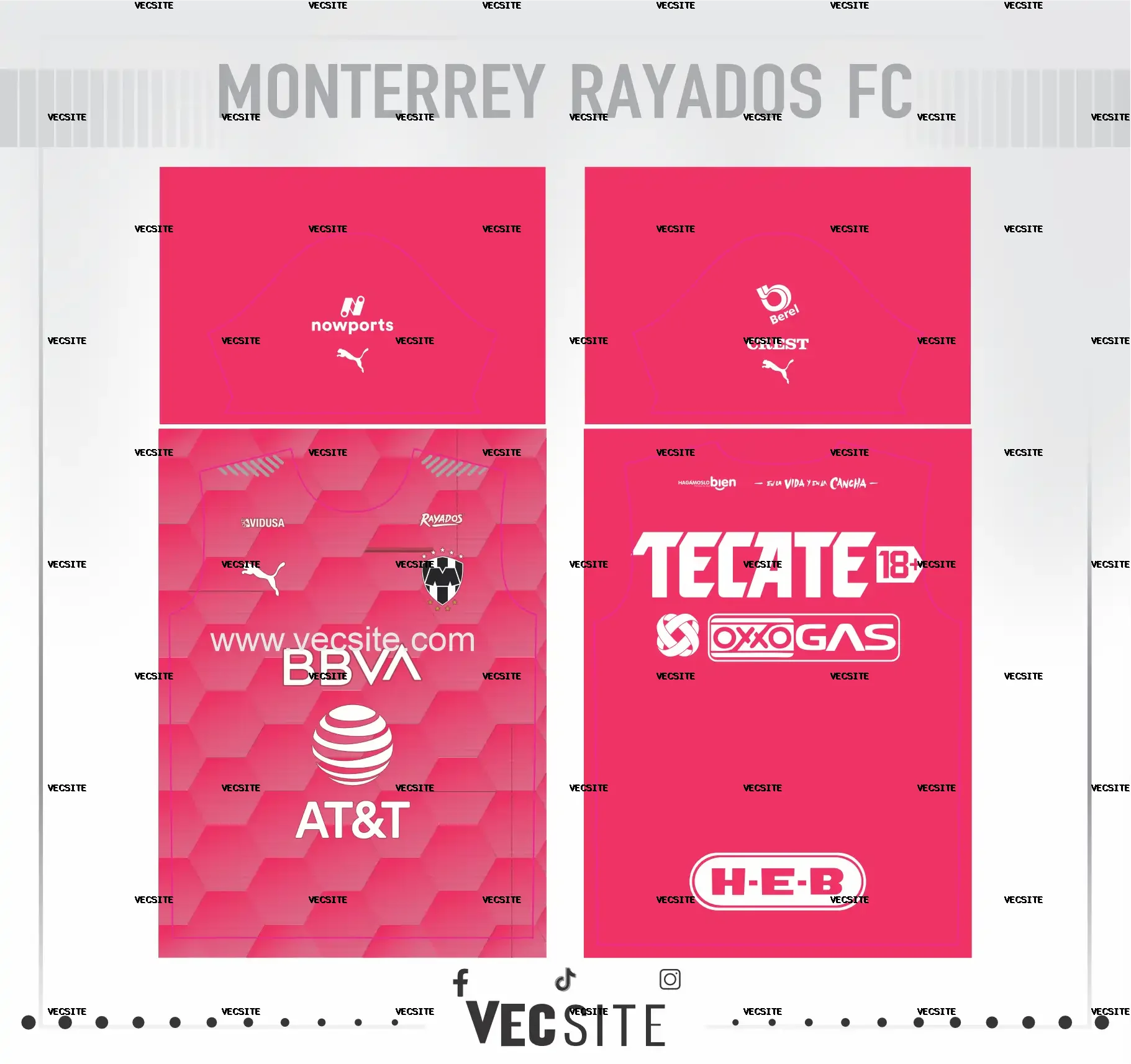 Club de Fútbol Monterrey portero
