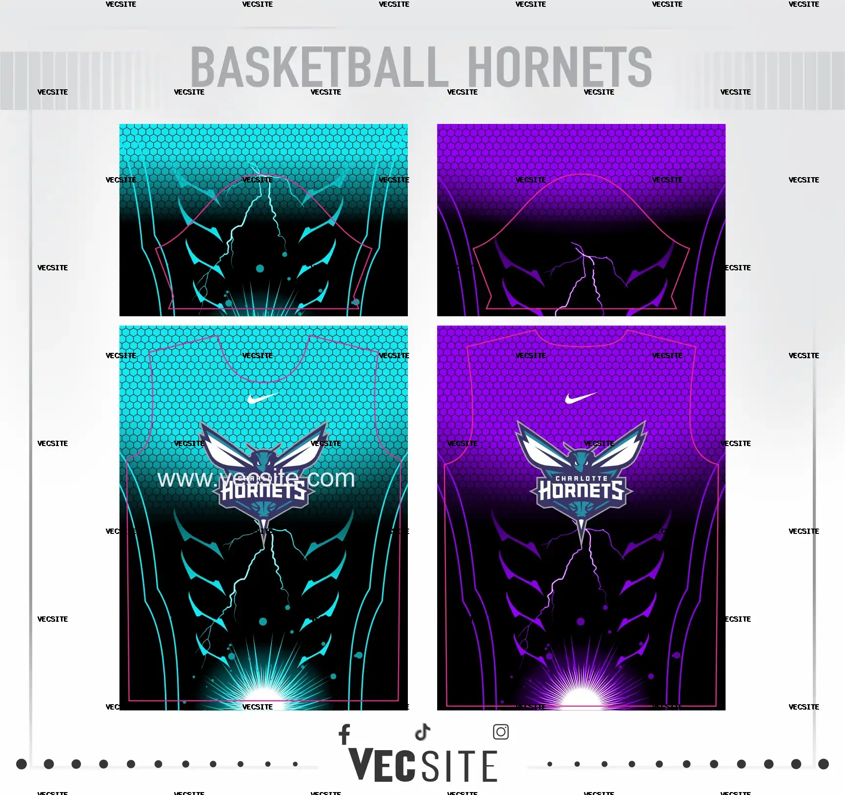 basketball HORNETS