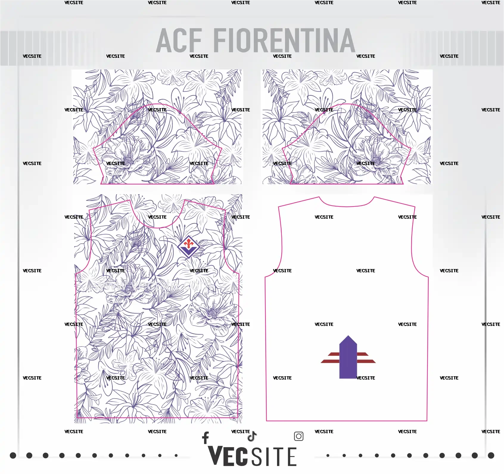 Associazione Calcio Firenze Fiorentina