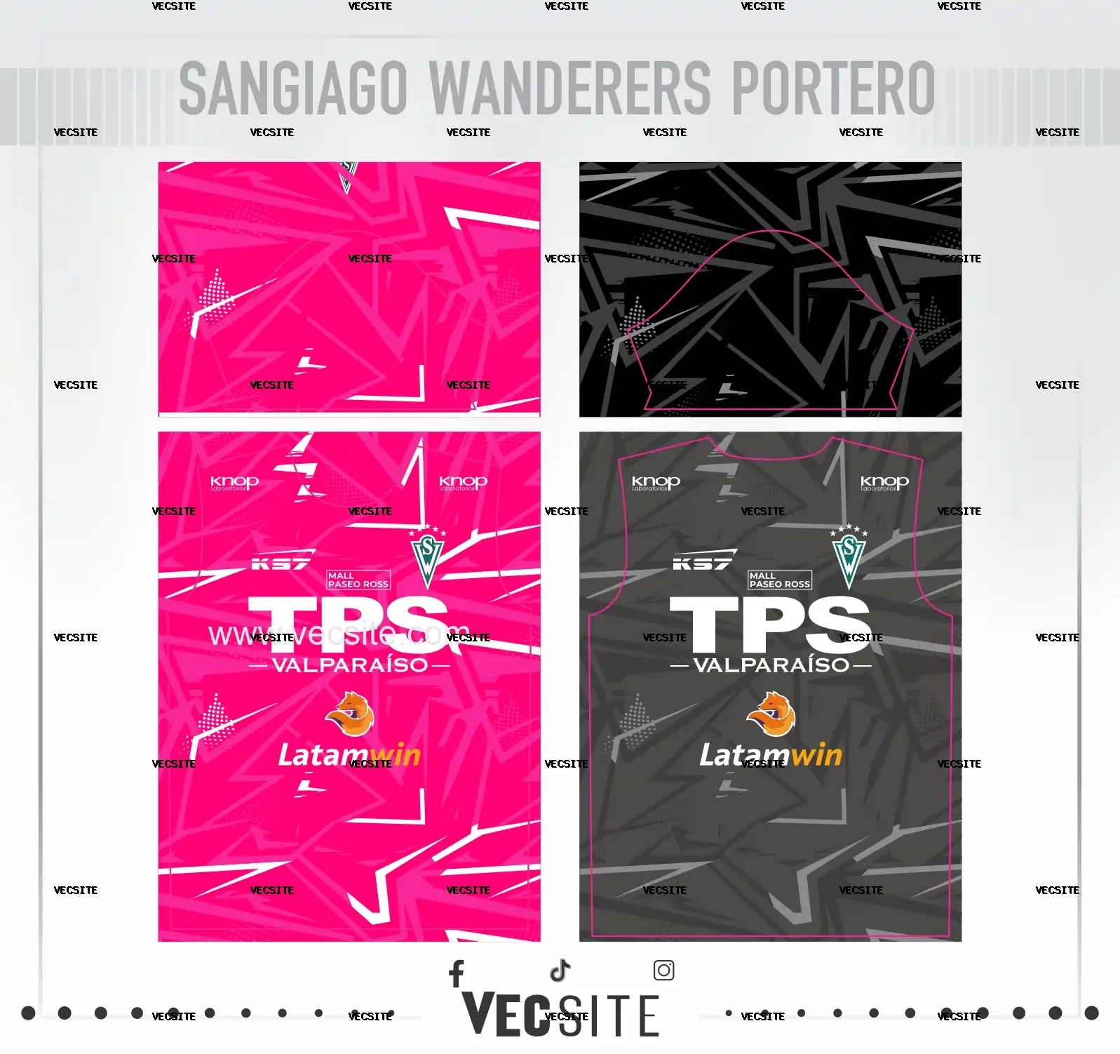 sangiago wanderers portero