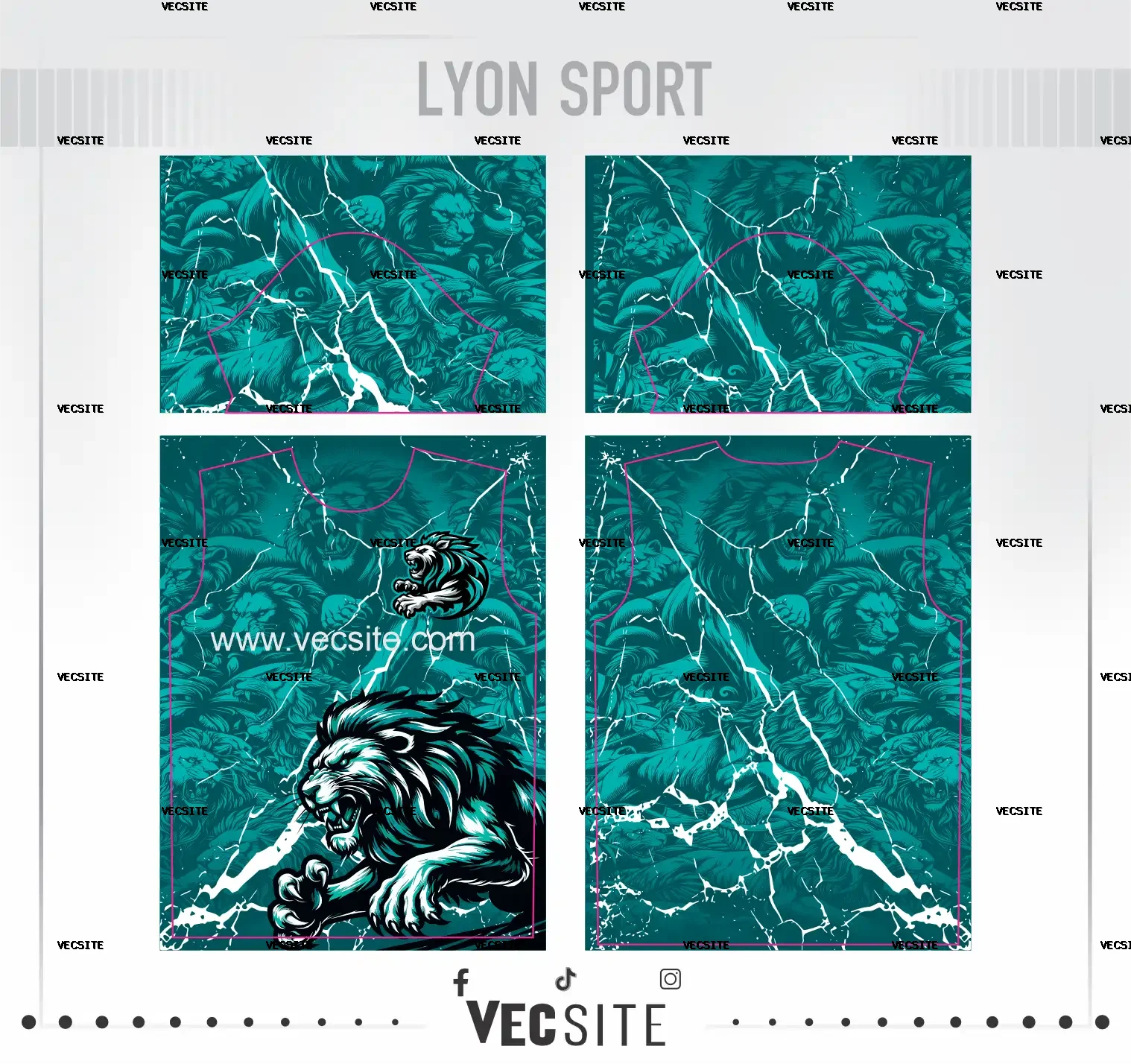 lyon sport