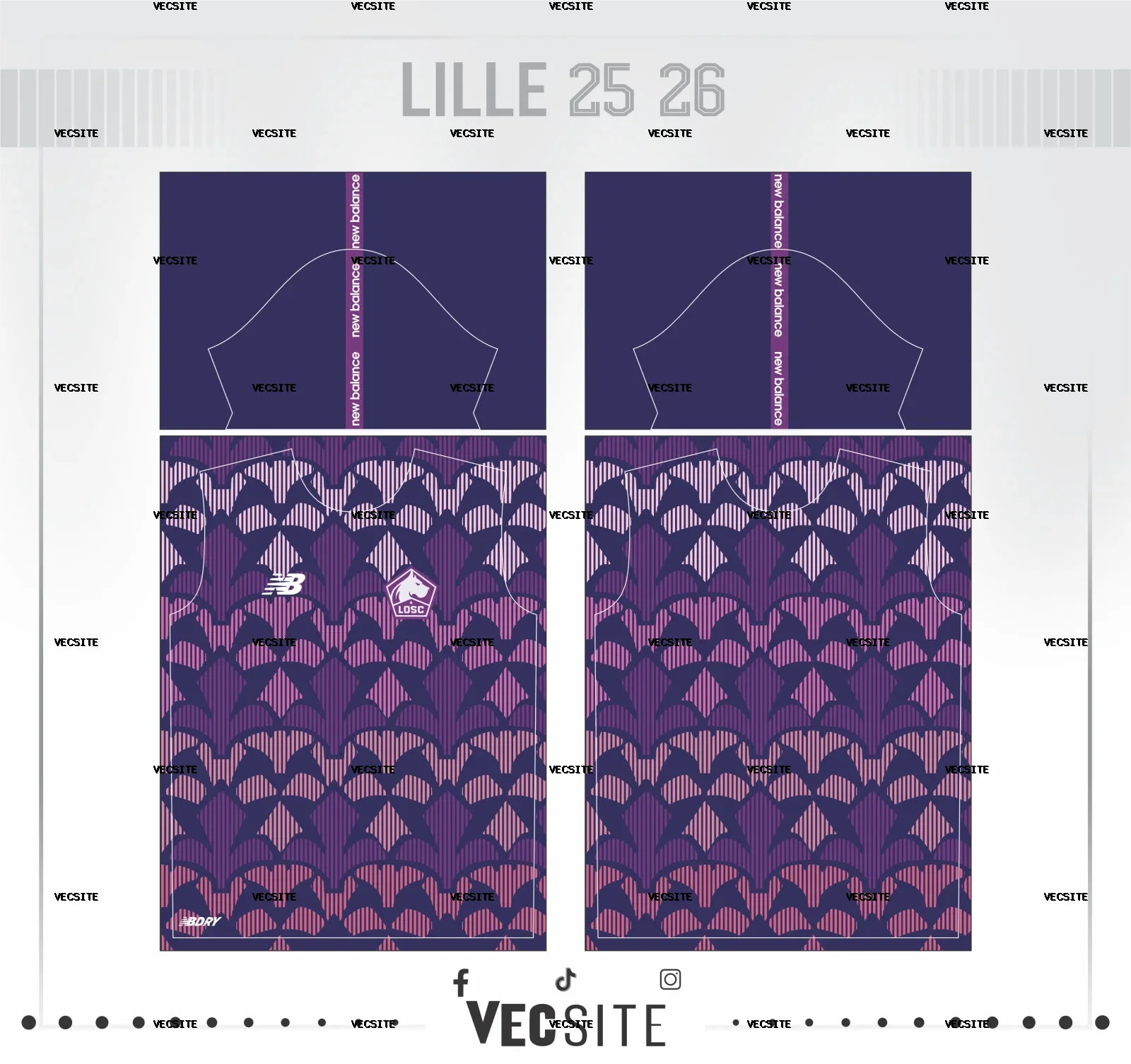 LILLE 25 26