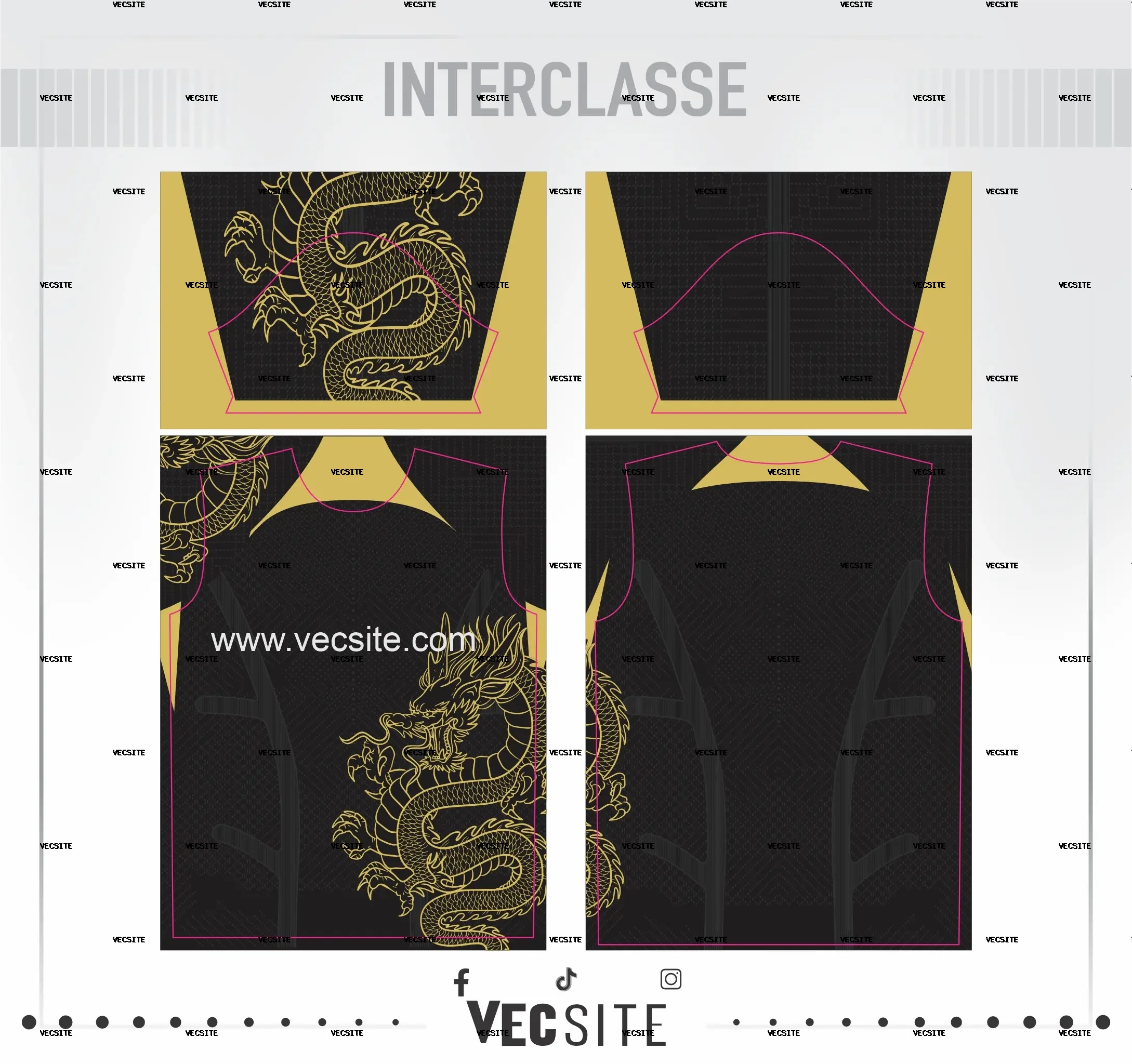 DRAGON INTERCLASSE
