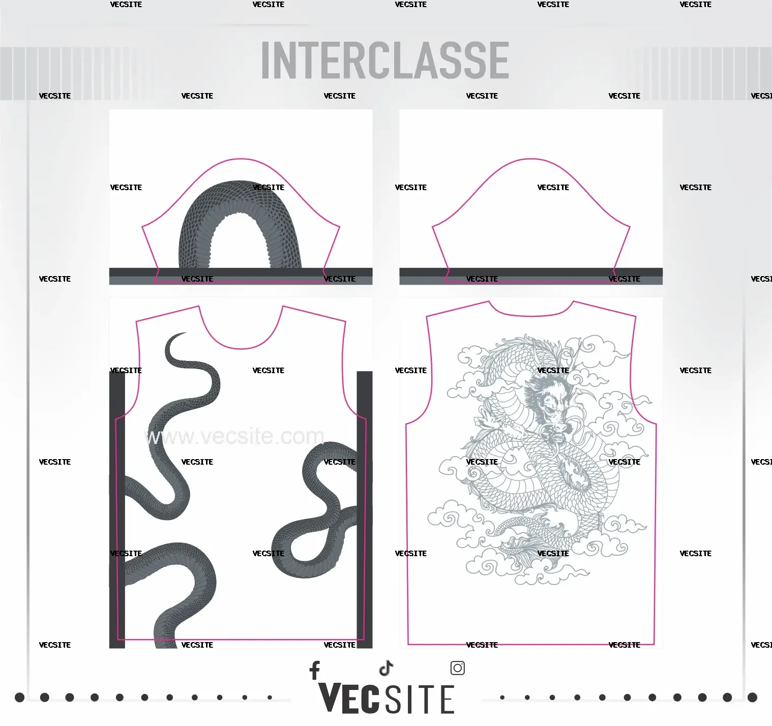 snake deisng interclasse