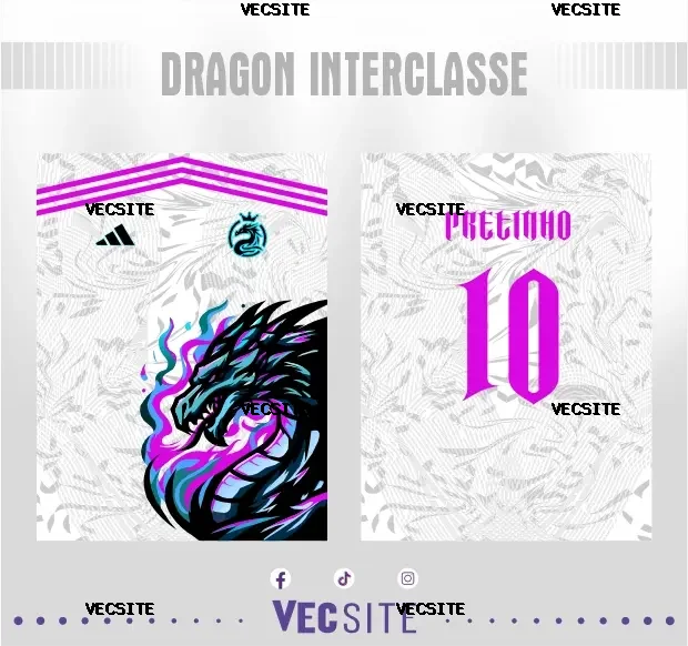 dragon interclasse desing
