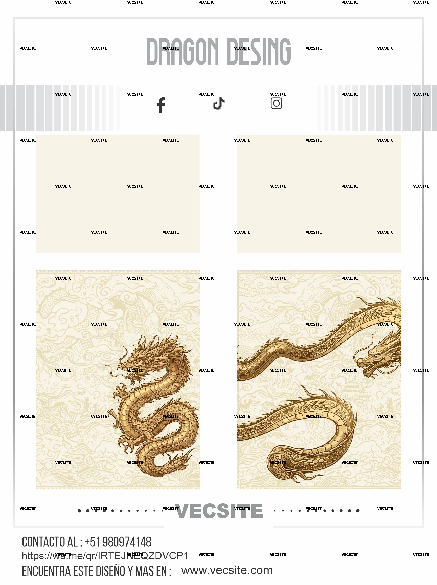 dragon desing sport