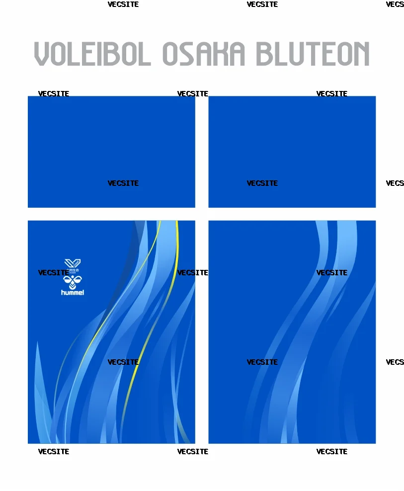voleibol masculino Osaka Bluteon