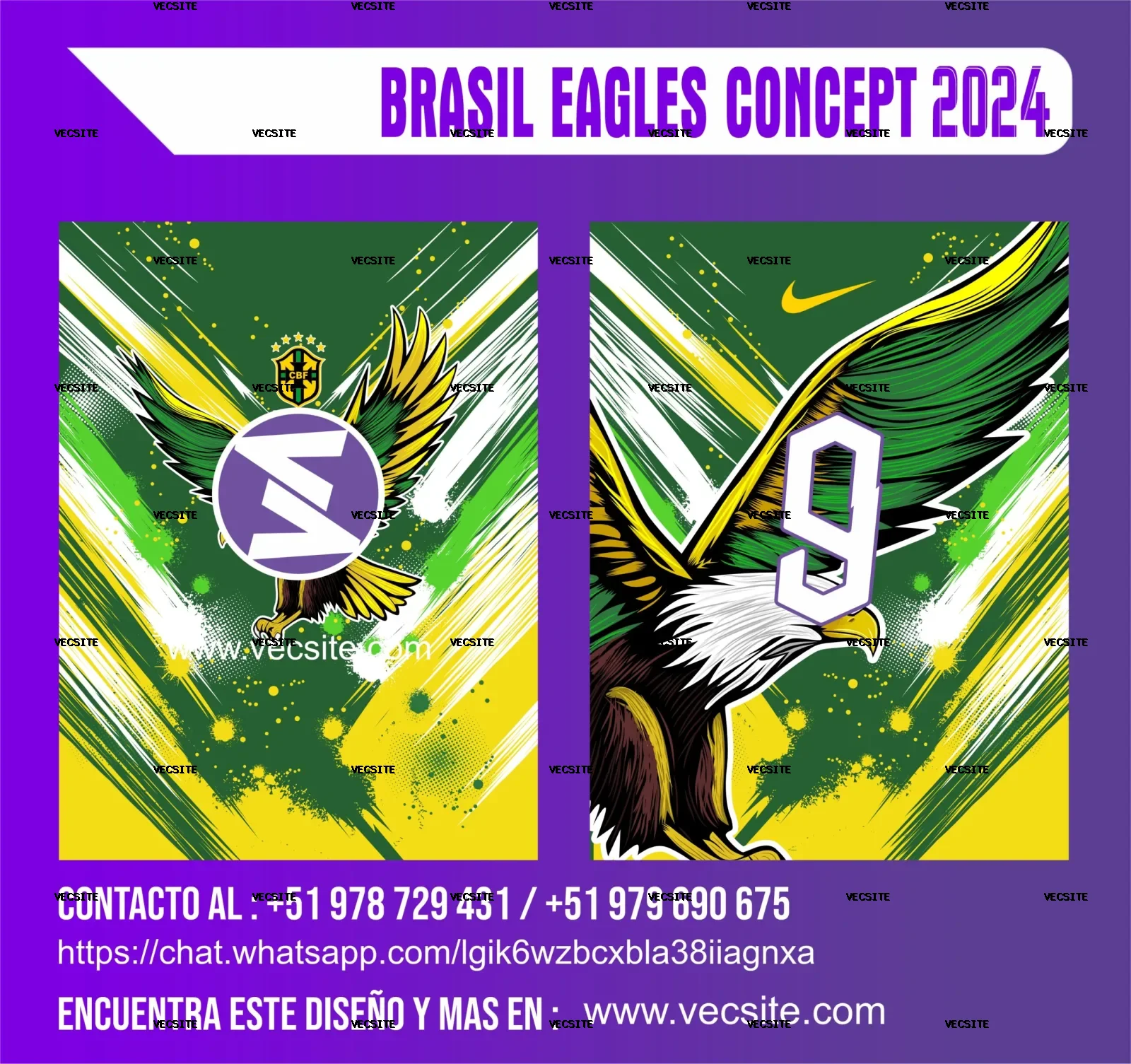BRASIL EAGLES CONCEPT 2024