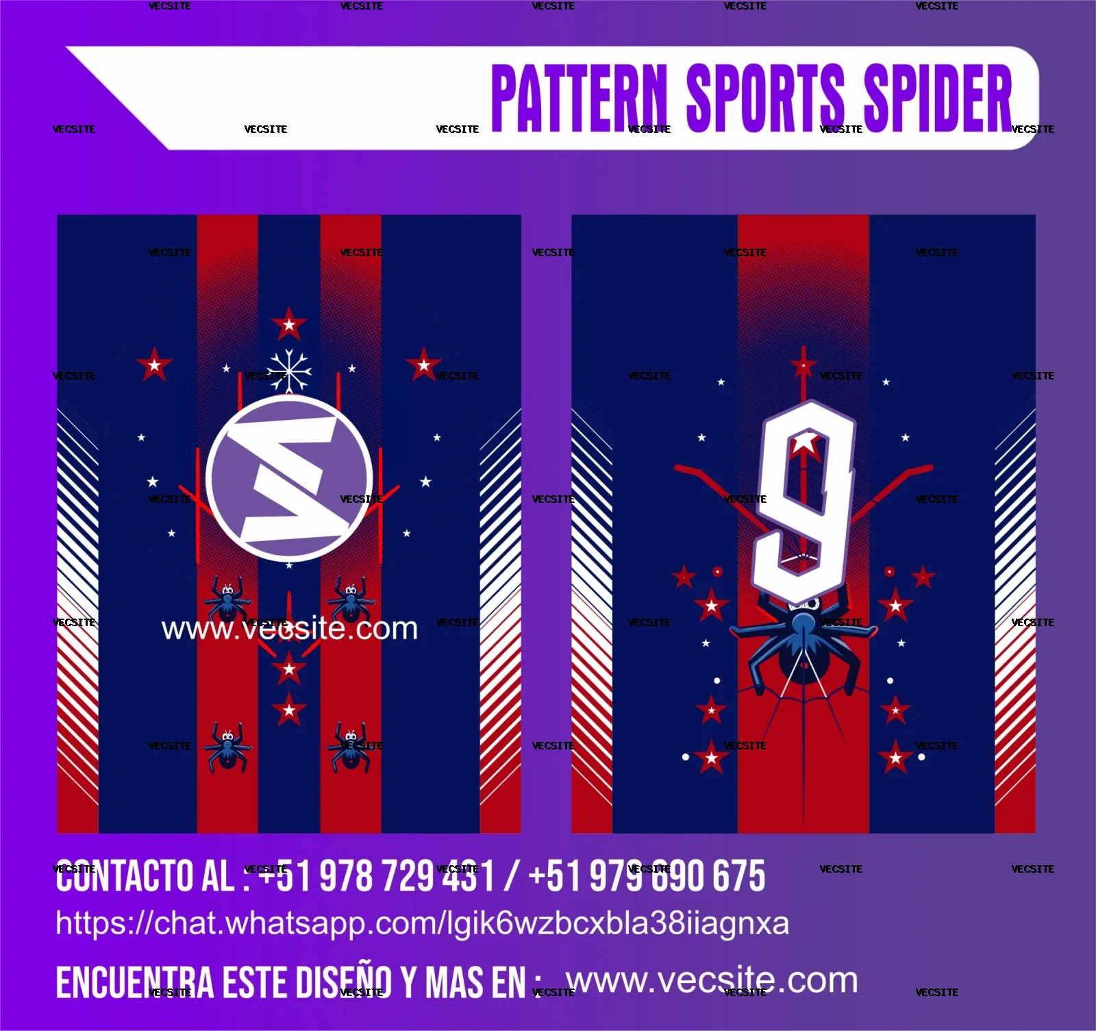 PATTERN SPORTS SPIDER