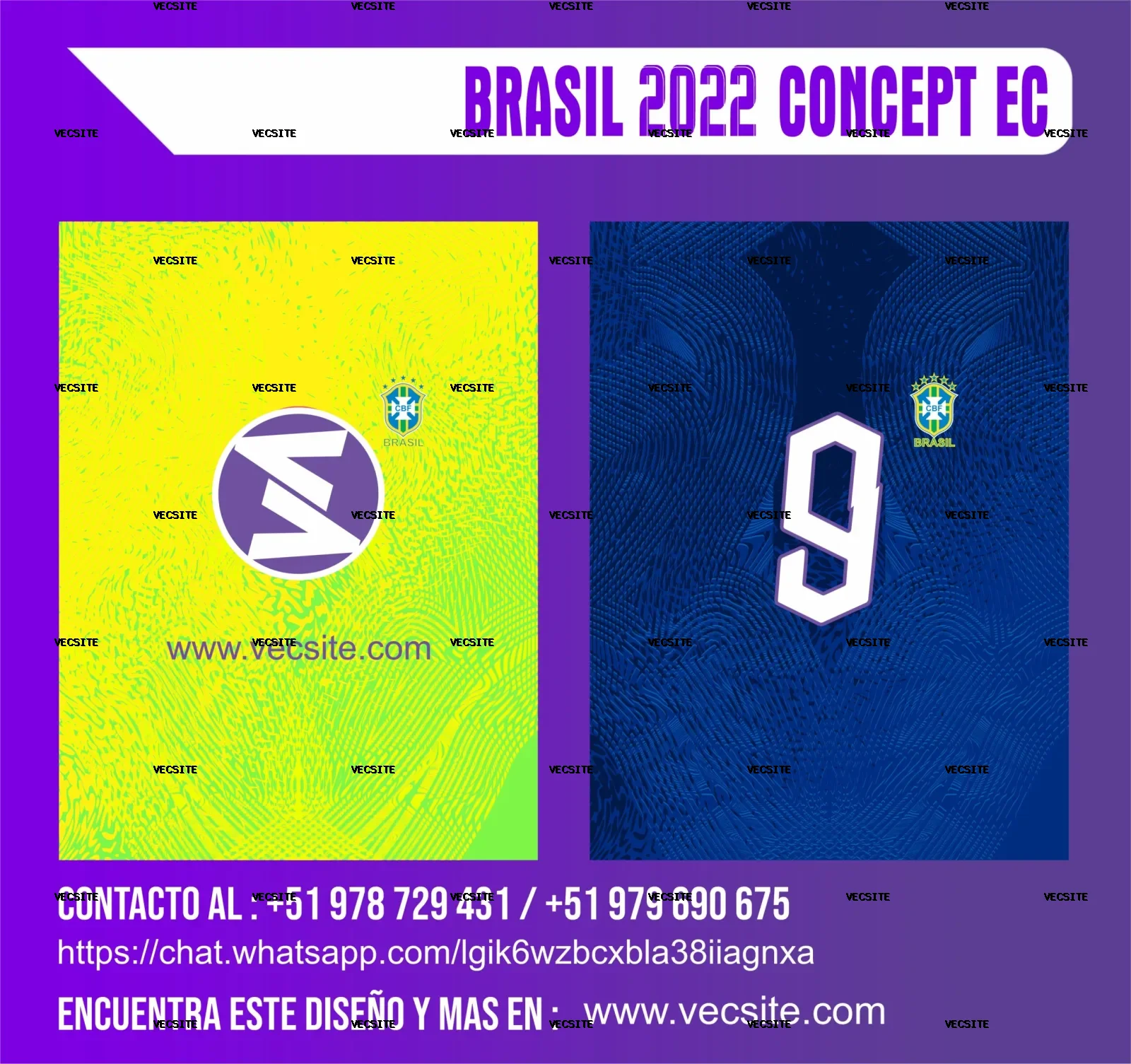 BRASIL 2022 CONCEPT EC