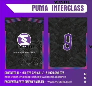 PUMA INTERCLASSE