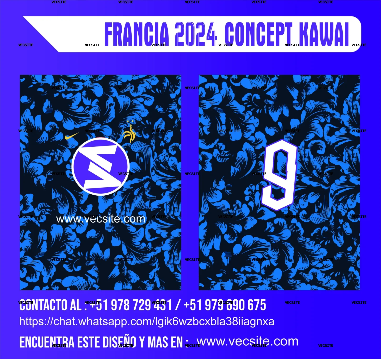 FRANCIA 2024 CONCEPT KAWAI