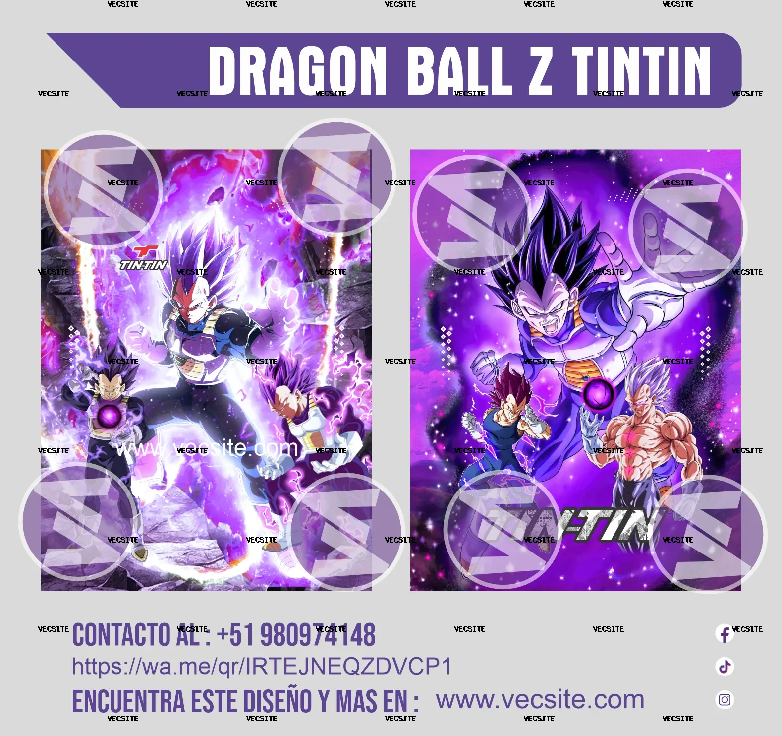 DRAGON BALL Z TINTIN VECSITE