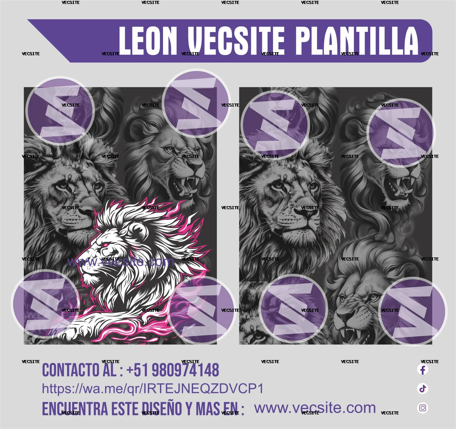 LEÓN VECSITE PLANTILLA