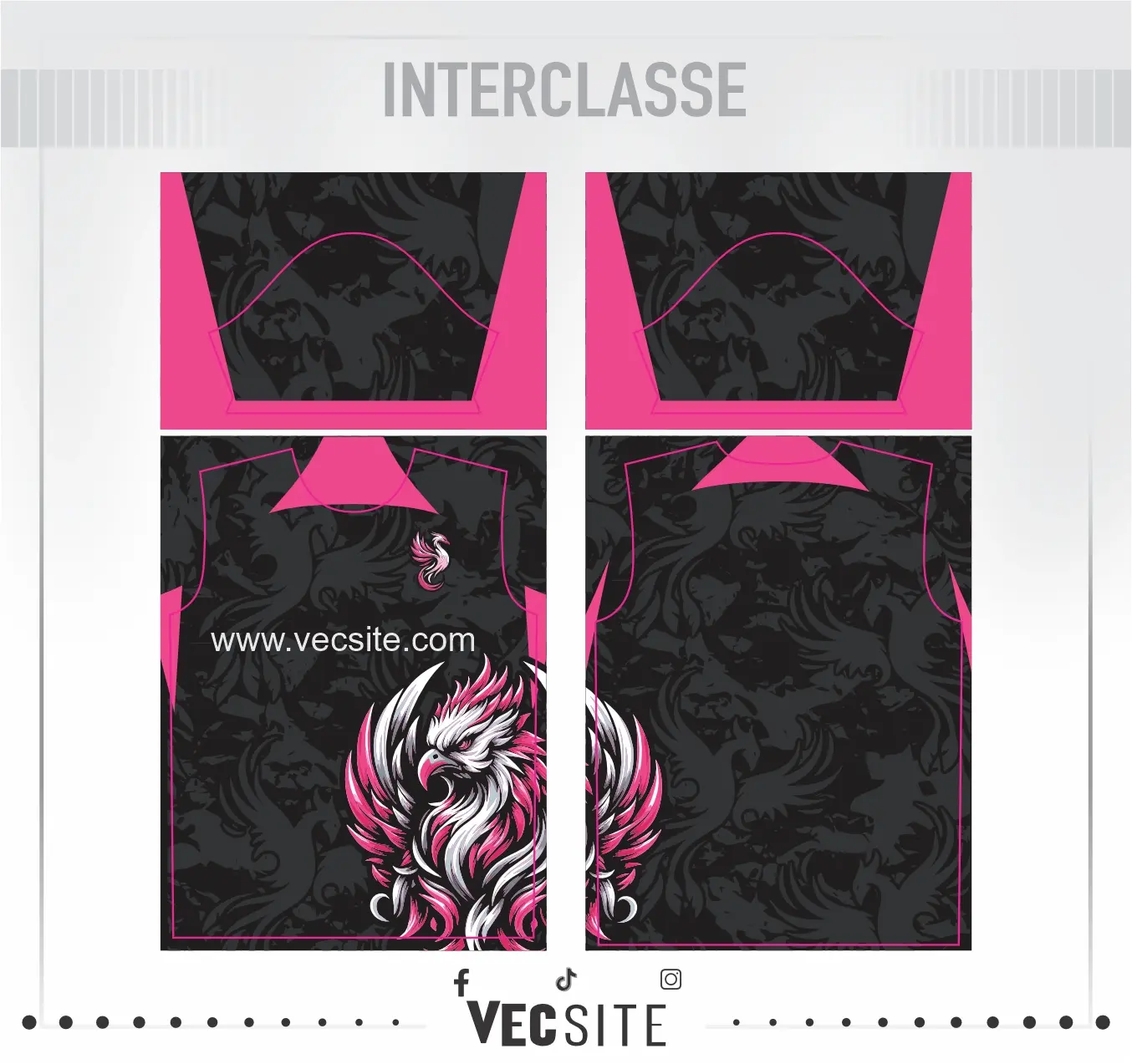 AVE FENIX INTERCLASSE