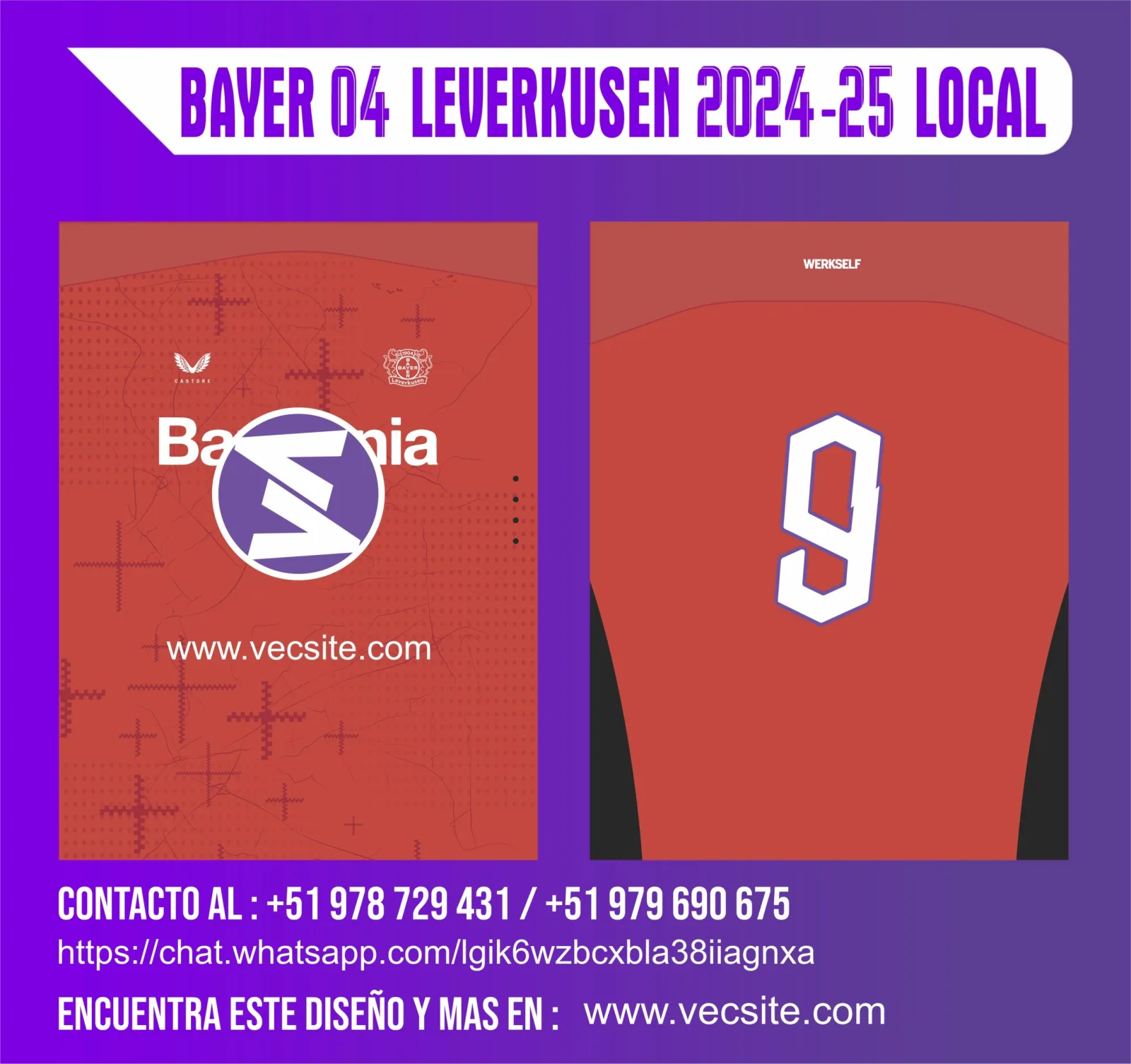 BAYER 04 LEVERKUSEN 2024-25 LOCAL