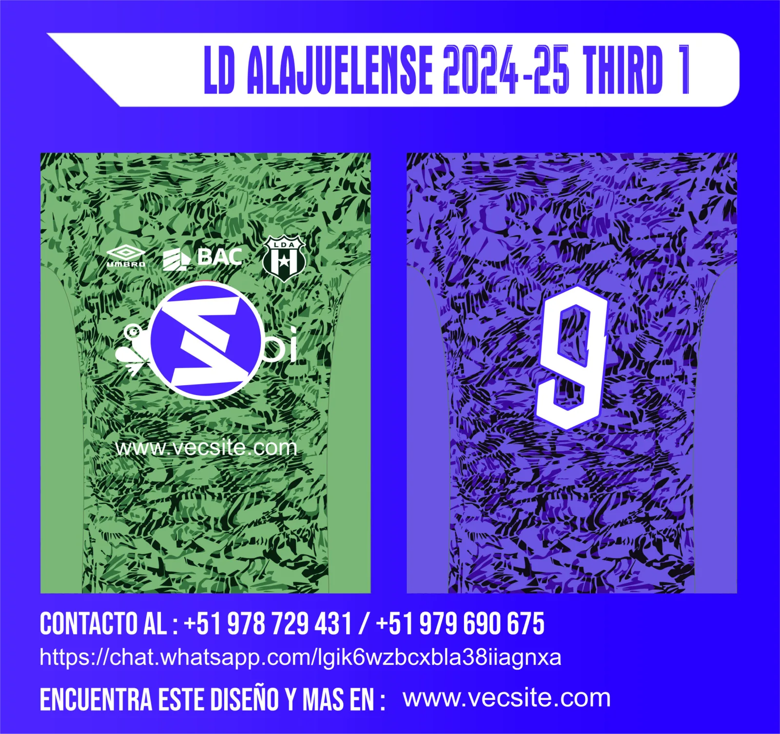 LD ALAJUELENSE 2024-25 THIRD