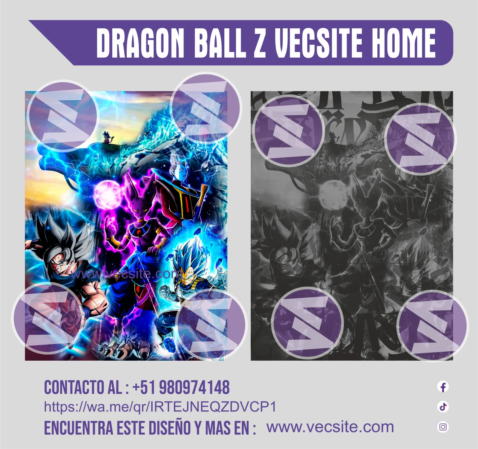 DRAGON BALL Z  VECSITE HOME