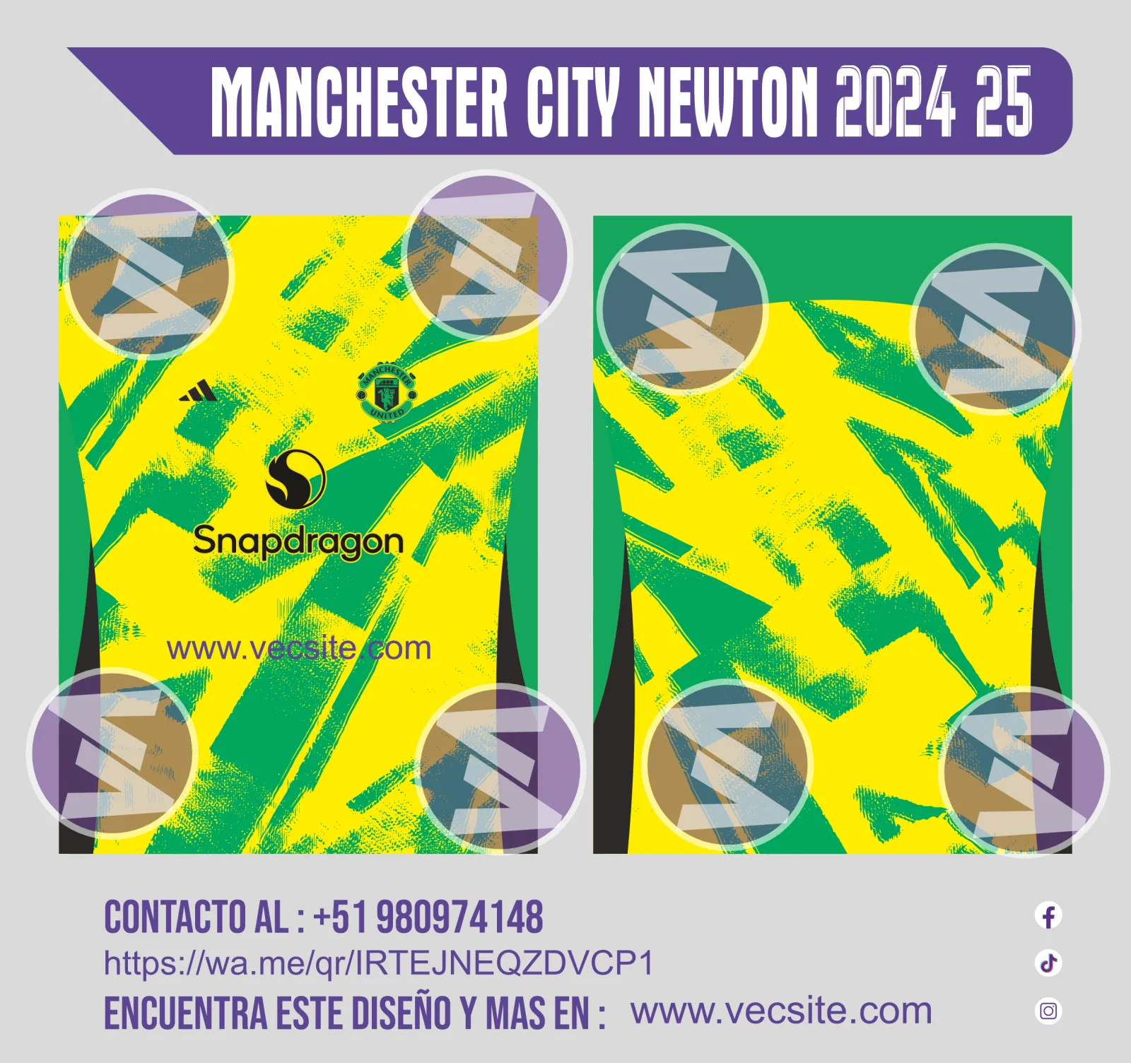 Manchester city newton 2024 25 concept