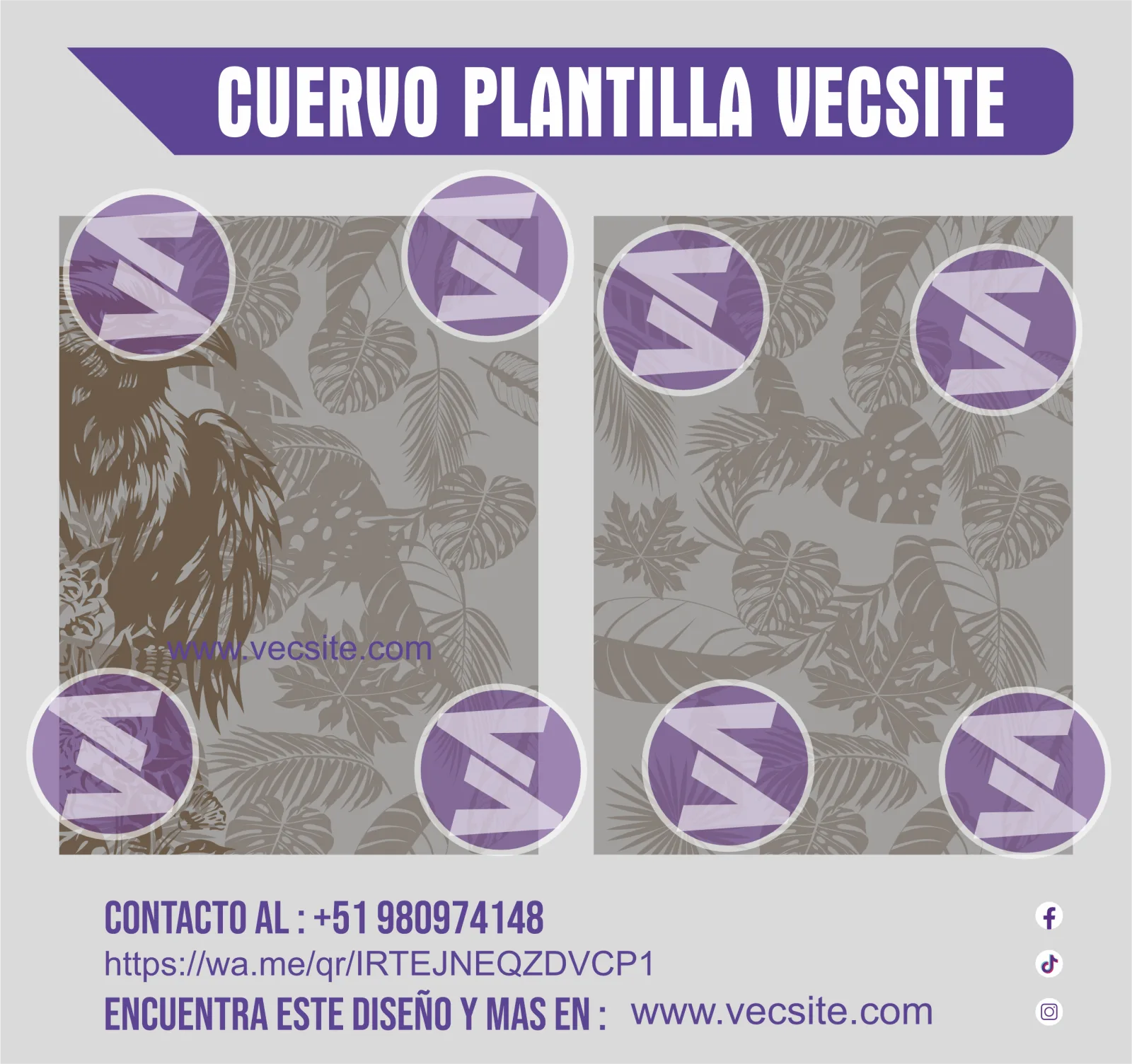 cuervo plantilla vecsite