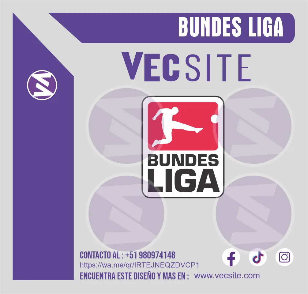 BUNDES LIGA ETIQUETA PARCHE