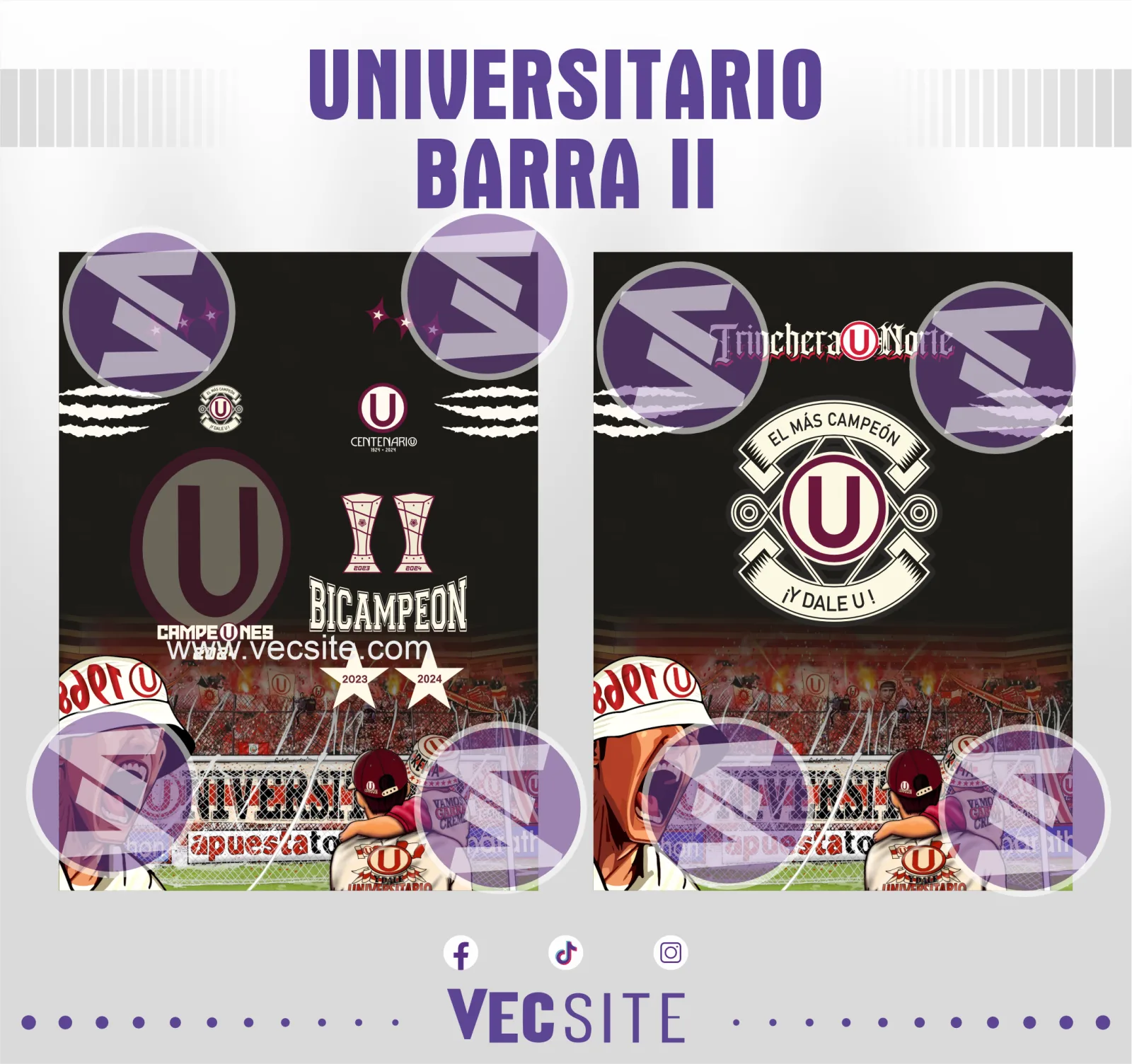 barra universitario II