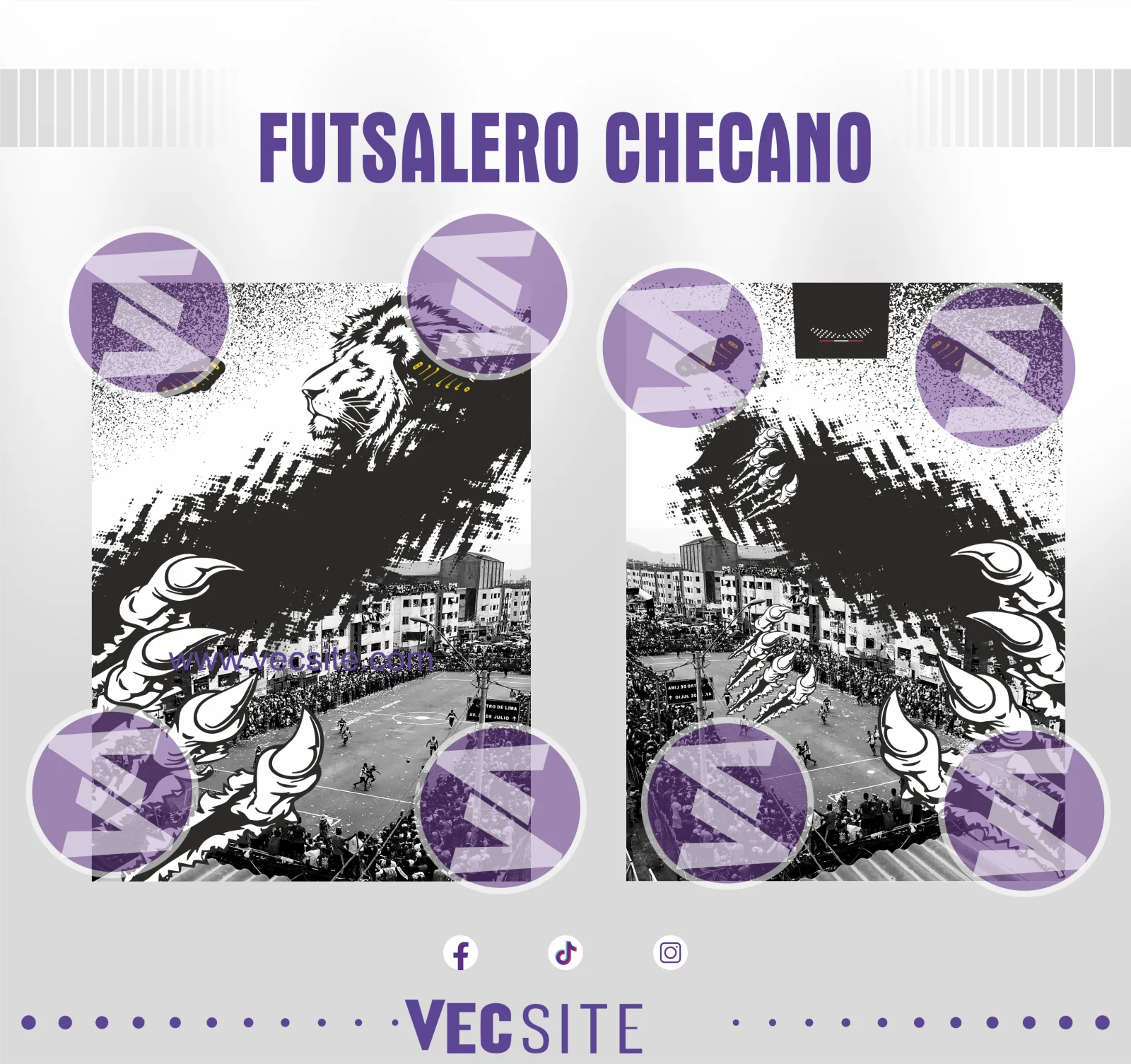 FUTSALERO CHECANO