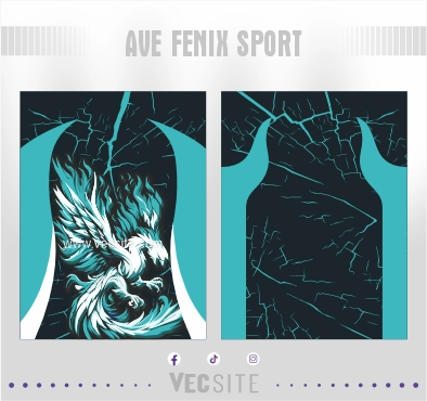 ave fenix sport interclasse,