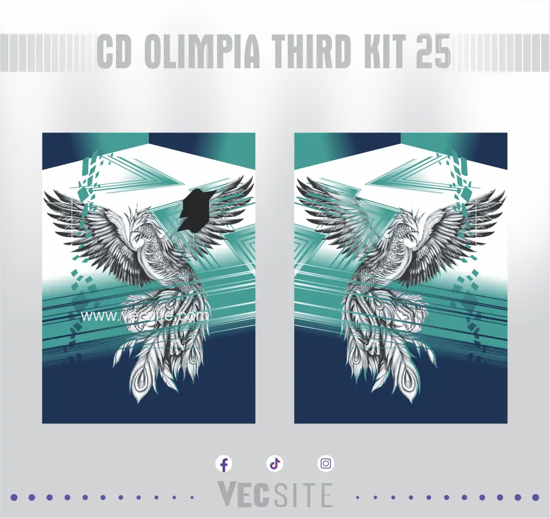 Fenix gris Interclasse 25