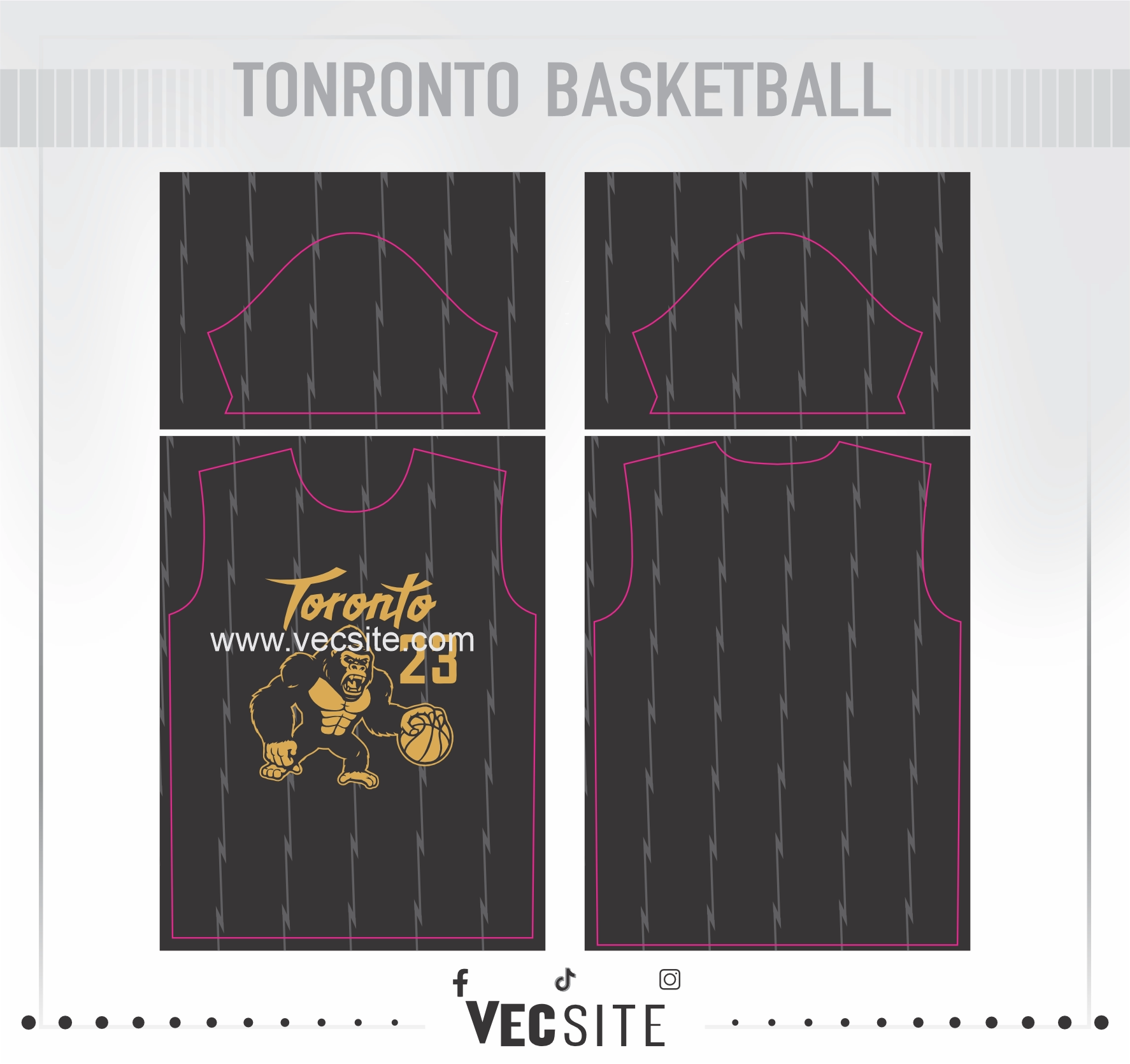 toronto basketball