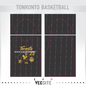 toronto basketball